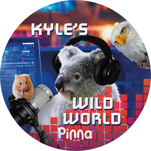Kyle's Wild World